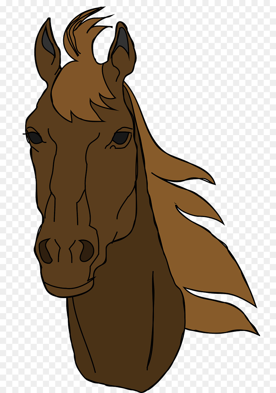 Caballo árabe，American Quarter Horse PNG