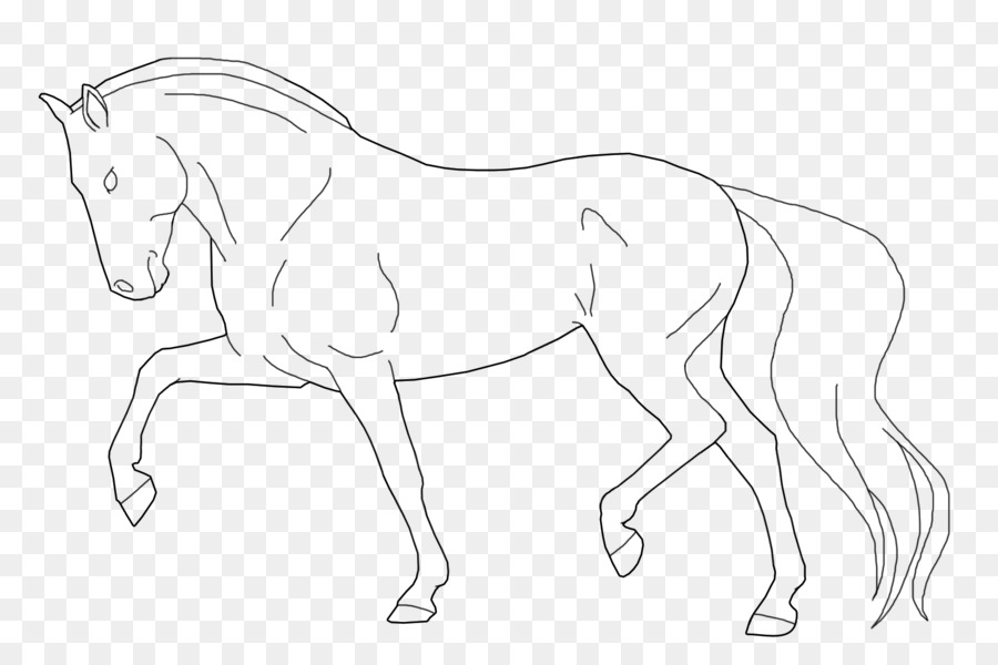 Caballo De Patada，Bosquejo PNG