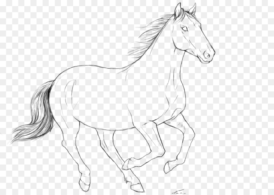 Caballo，Arte Lineal PNG