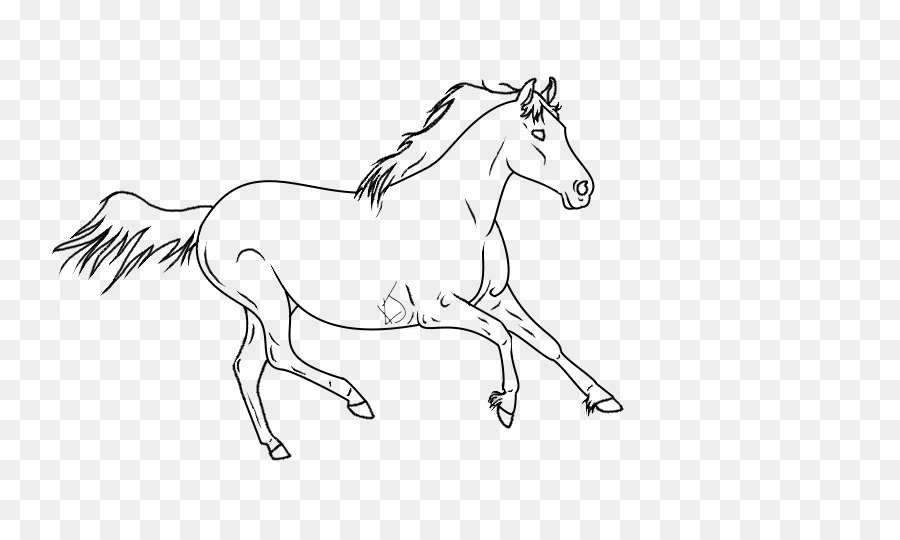 Caballo，Arte Lineal PNG