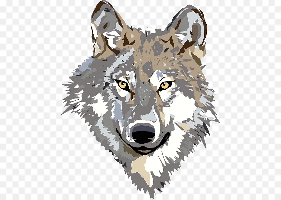 Lobo Gris，Big Bad Wolf PNG