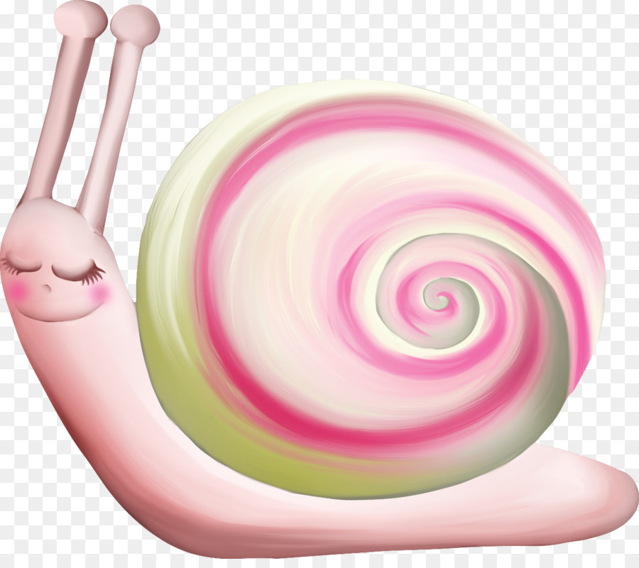 Caracol，Dibujo PNG