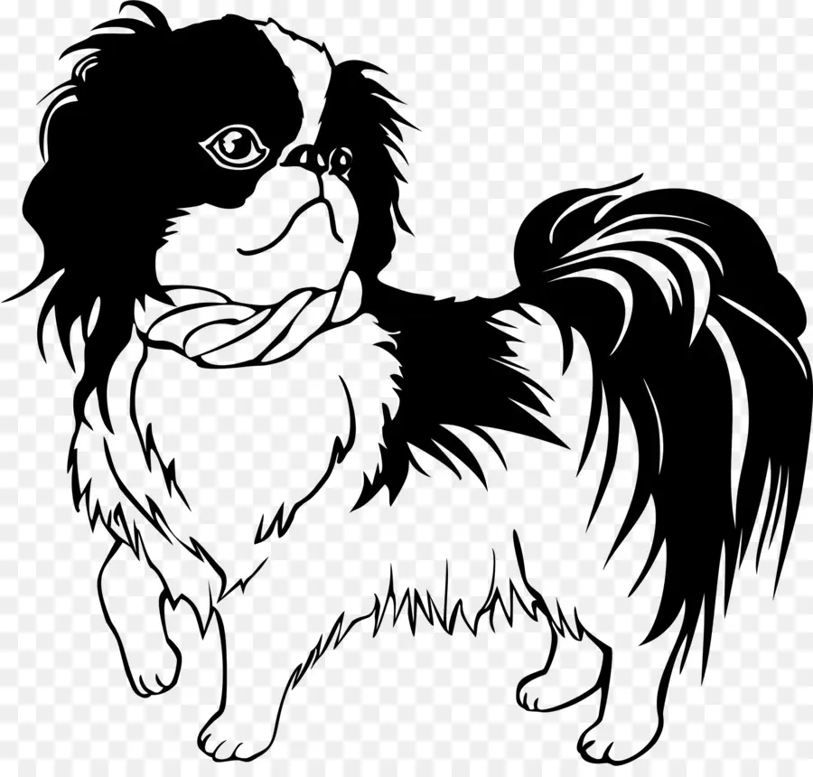 Shih Tzu，Dachshund PNG