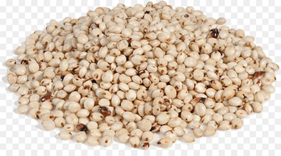 Sorgo，Semillas PNG