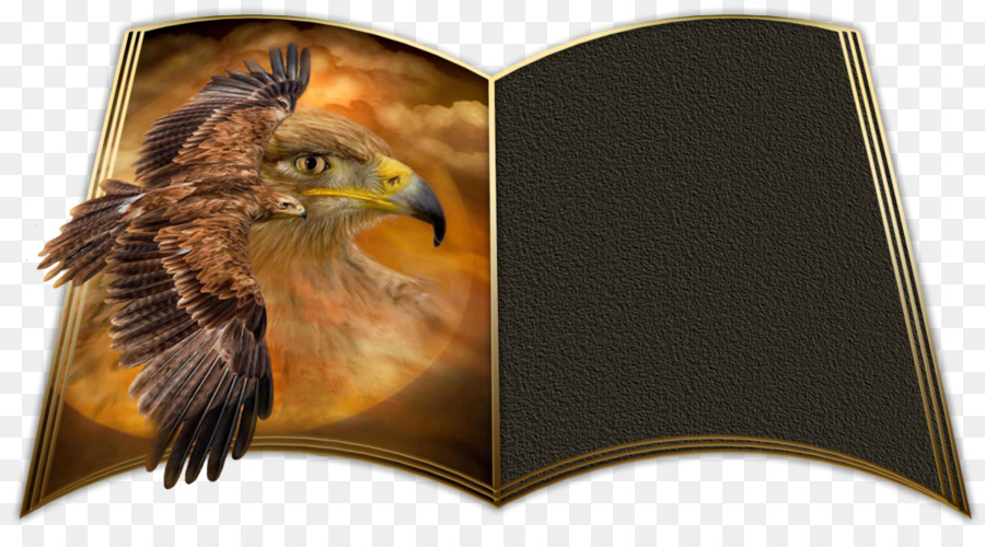 Águila，Libro PNG