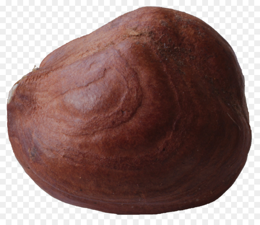 Avellana，Mantequilla De Avellana PNG