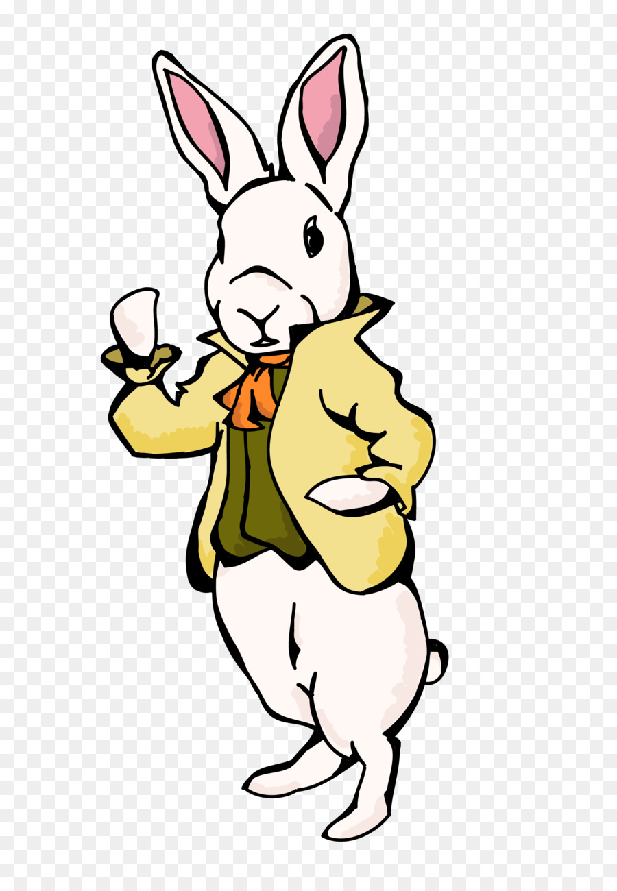 Conejo Blanco，Chaqueta PNG