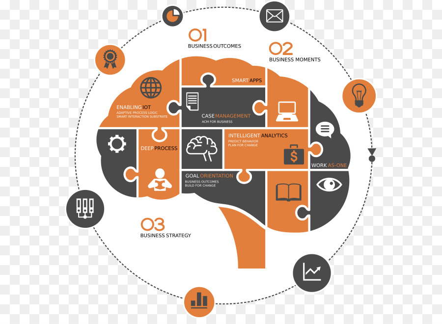 Infografía Del Cerebro，Cerebro PNG