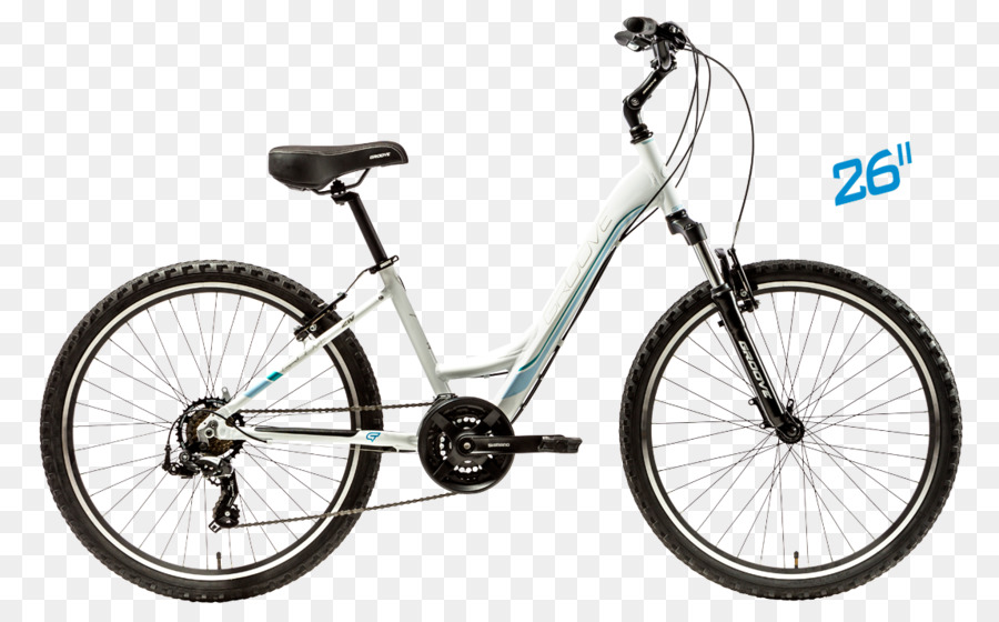 Bicicletas Gigantes，Bicicleta PNG