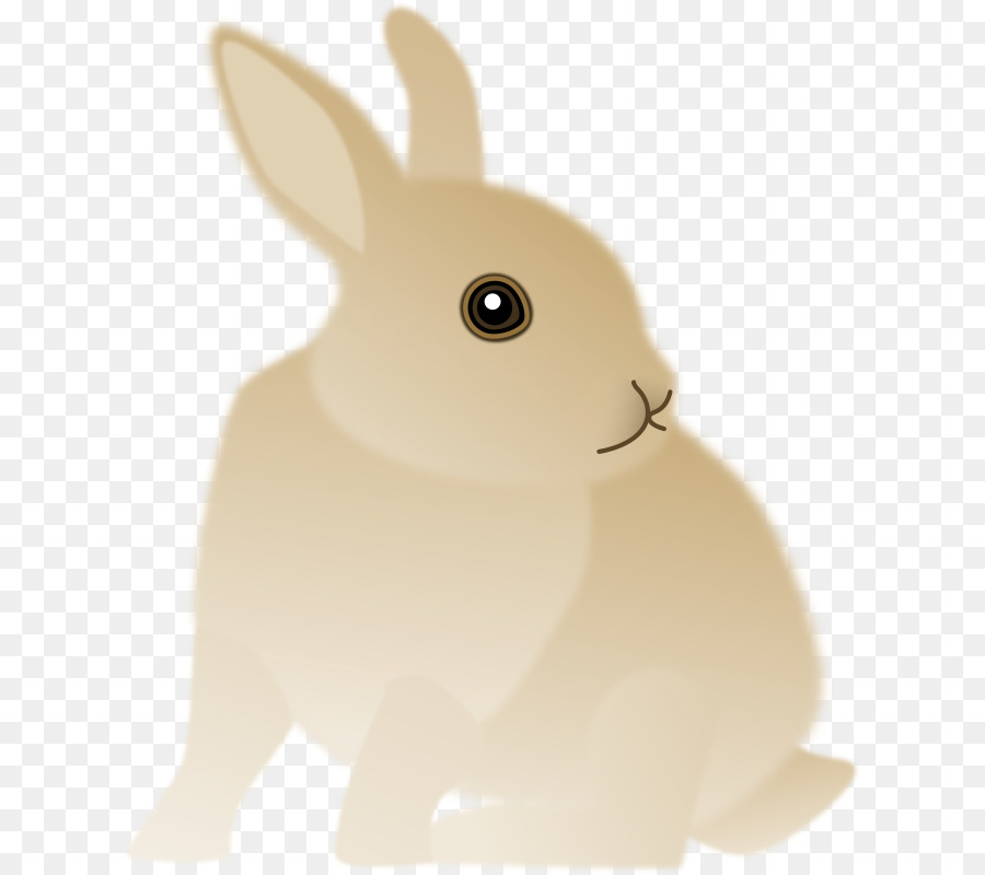 Silueta De Conejo，Conejito PNG