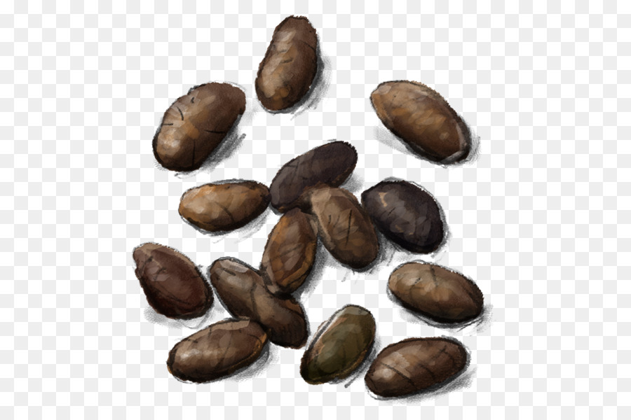 Alimento，Cocina PNG