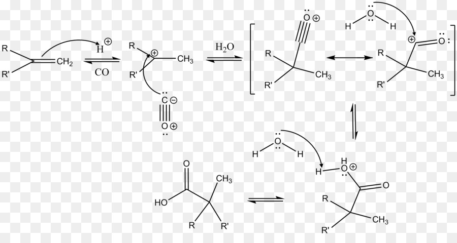 Koch Reacción，Mecanismo De Reacción PNG
