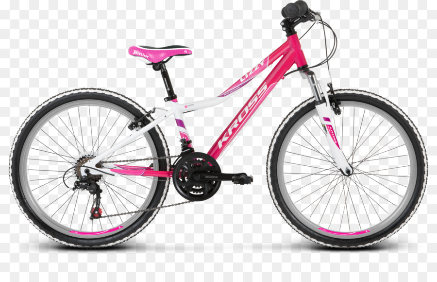 Bicicleta Rosa，Bicicleta PNG