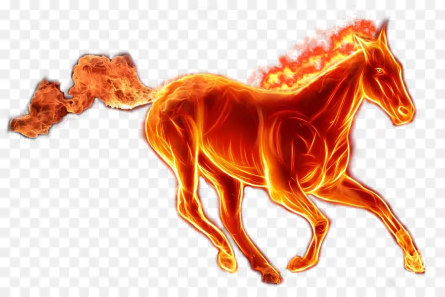 Caballo De Fuego，Fuego PNG