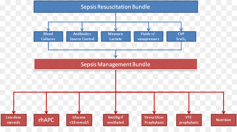 Campaña De Sepsis Sobreviviente，Septicemia PNG