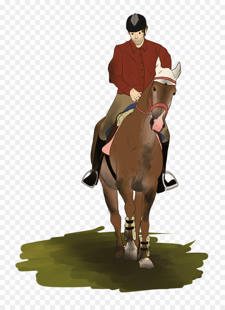 Caballo，Ecuestre PNG