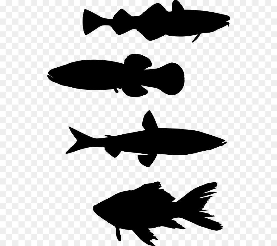 Los Peces，La Pesca PNG