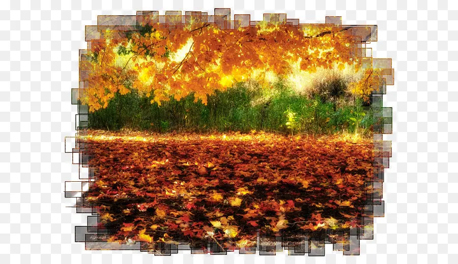 Fondo De Escritorio，Otoño PNG