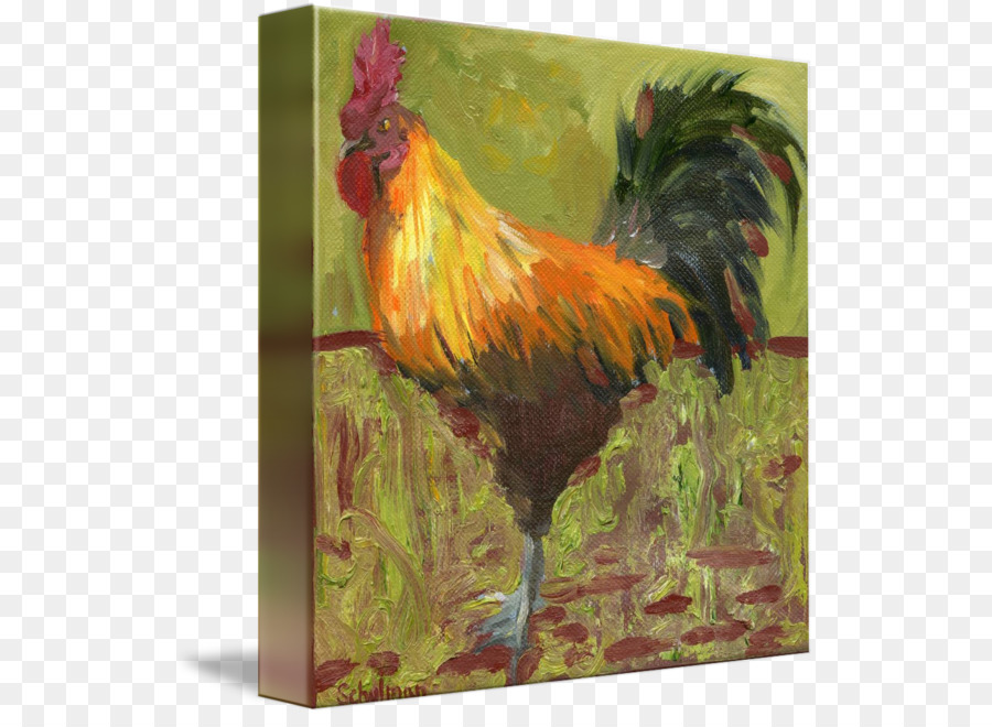 Pollo，Pintura PNG