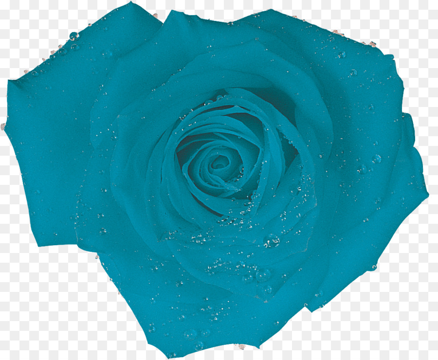 Rosa Azul，Pétalos PNG