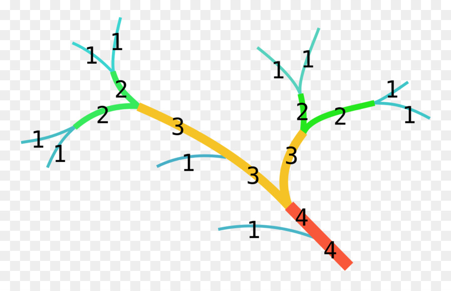 Diagrama De árbol，Sucursales PNG