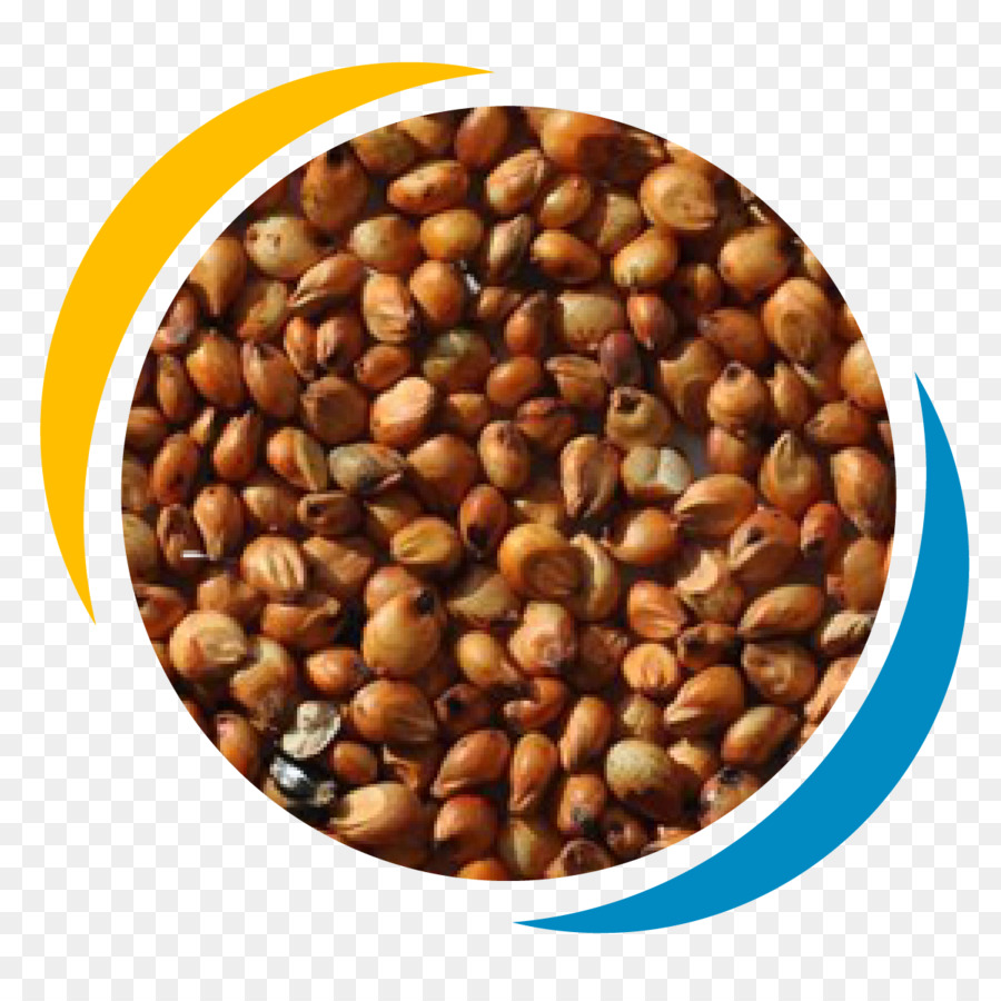 Mijo De Proso，Cereal PNG