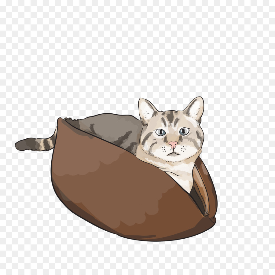 Gato，Gatito PNG