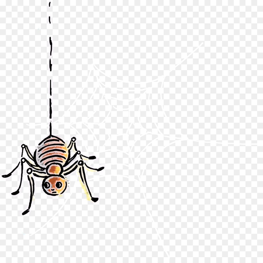 Araña，Web PNG