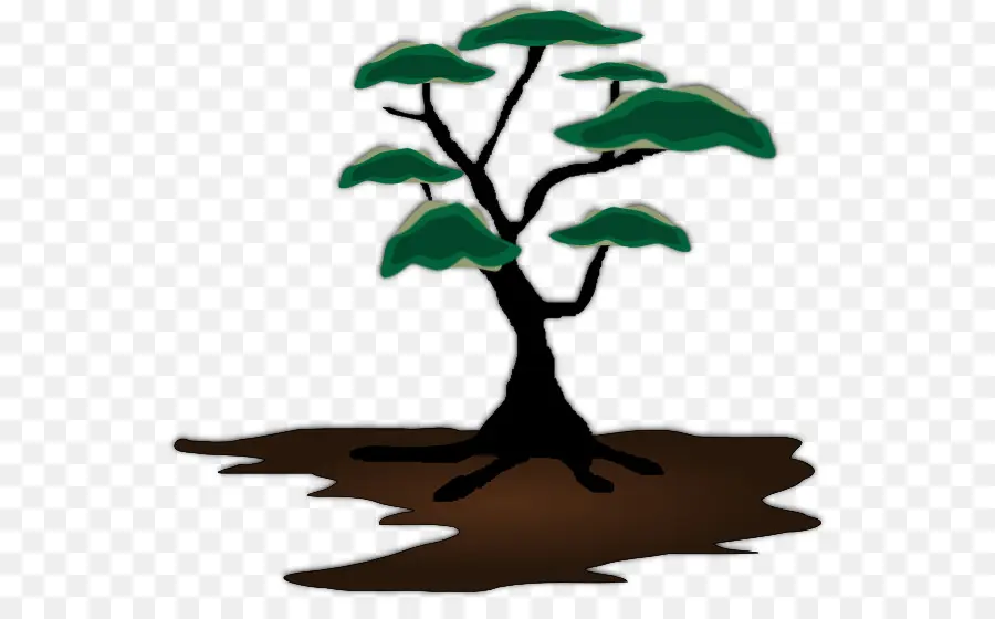 árbol Africano，árbol PNG