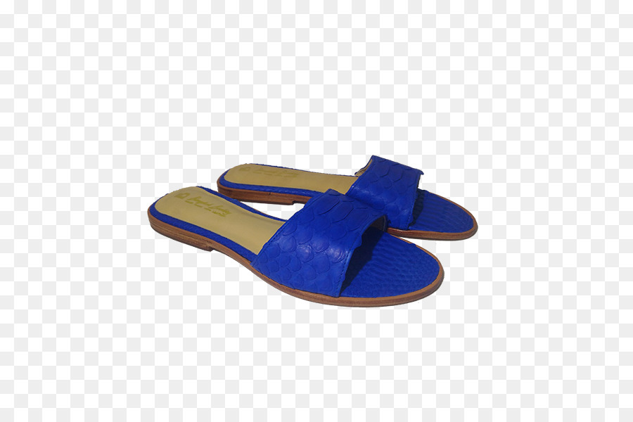 Zapatilla，Zapato PNG