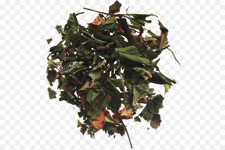 Té，Oolong PNG