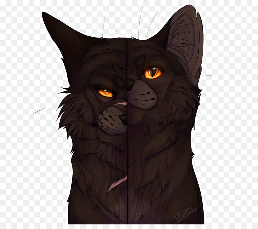 Gato，Gatito PNG