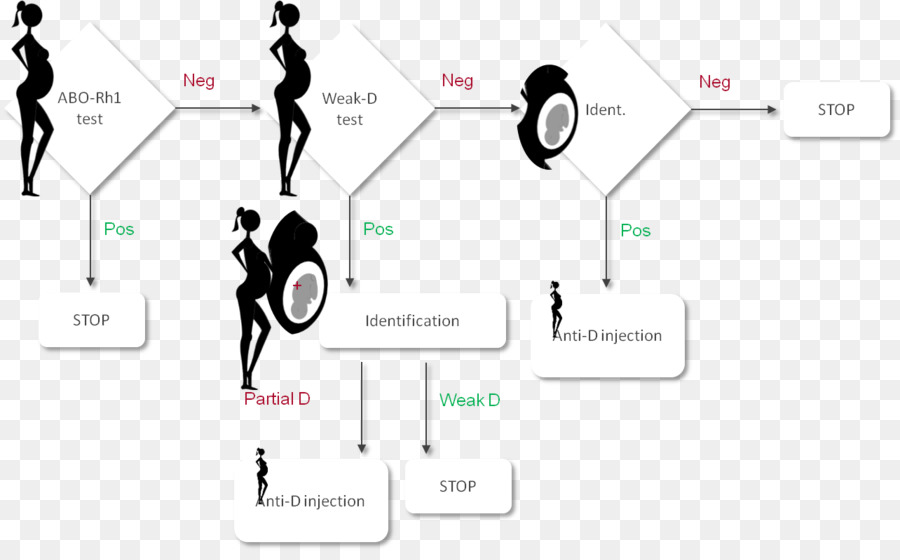 Diagrama De Flujo，Proceso PNG