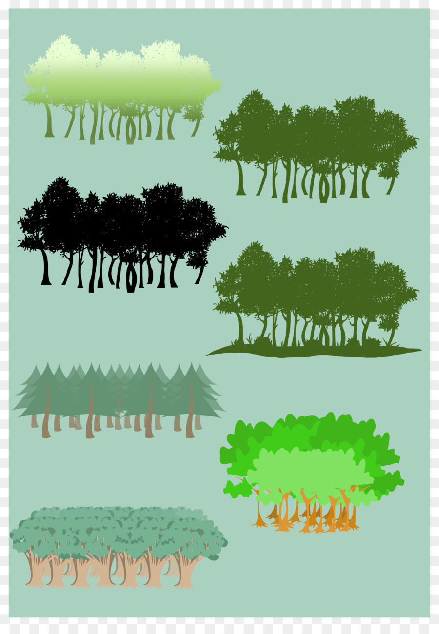 Bosque，Día Internacional De Los Bosques PNG