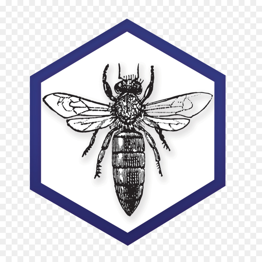 Abeja，Hexágono PNG