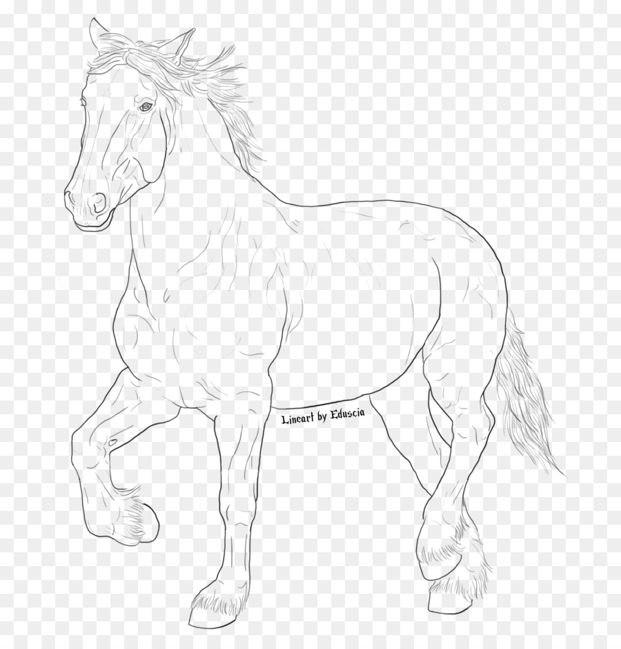 Caballo，Arte Lineal PNG