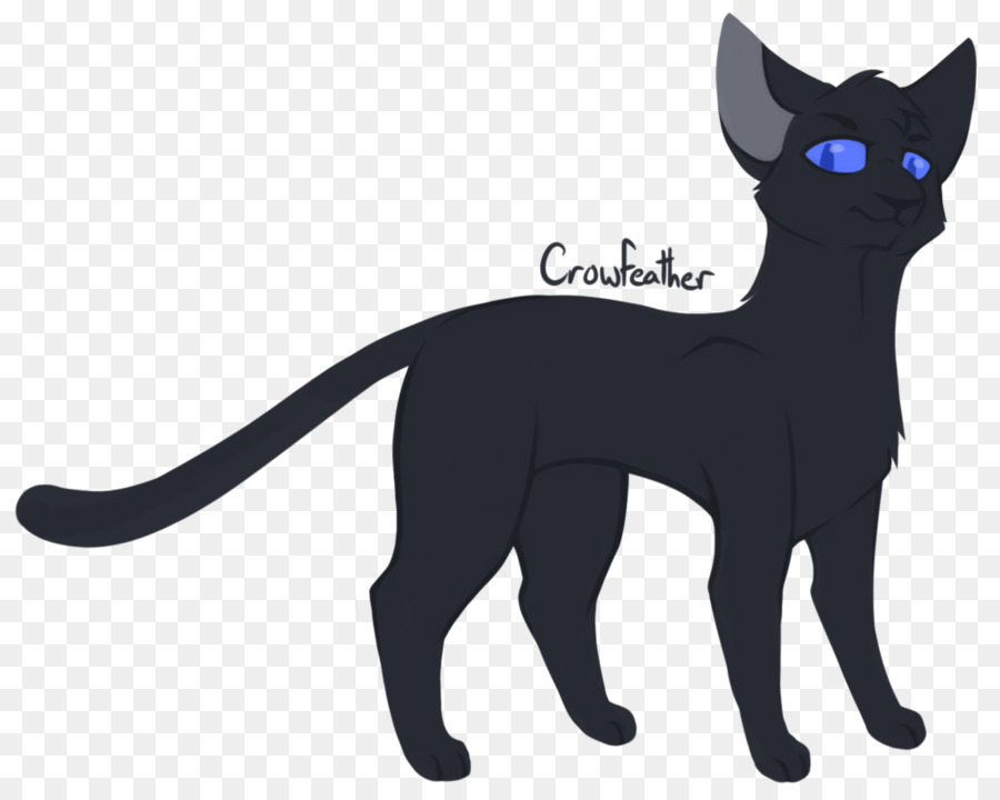 Gato Negro，Gato Doméstico De Pelo Corto PNG
