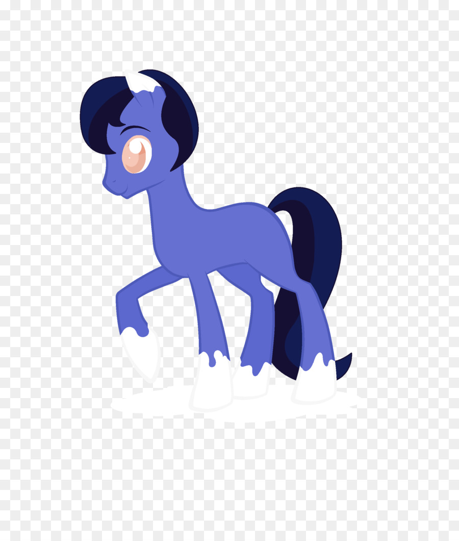 Caballo，Pony PNG