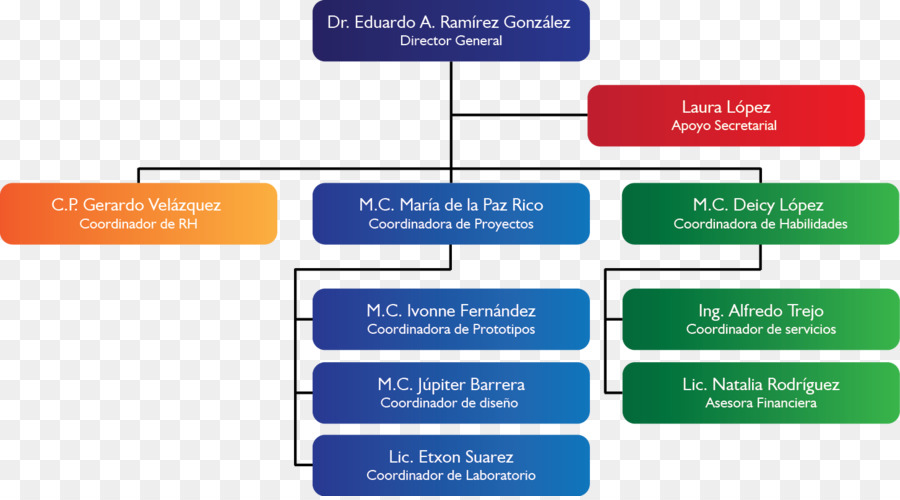 Organización，La Empresa PNG