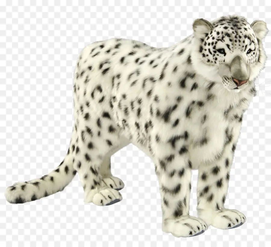 Leopard，Snow Leopard PNG