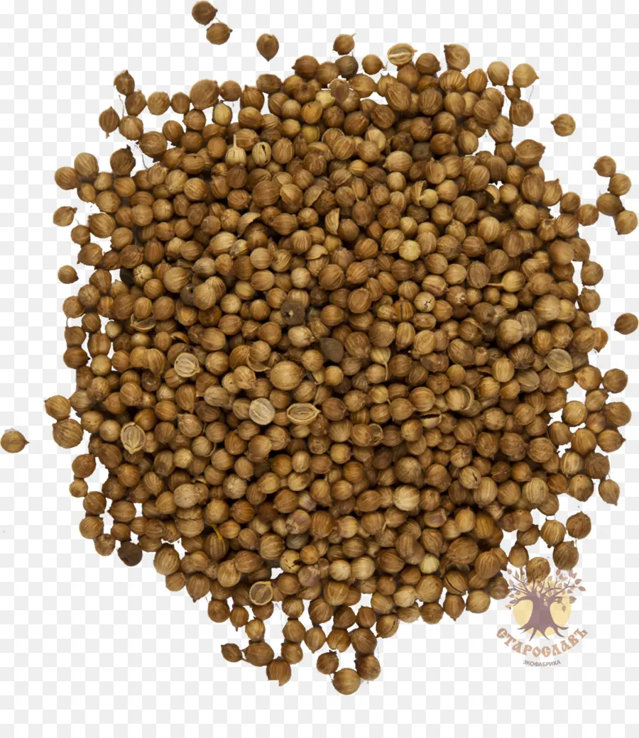 Semillas De Cilantro，Hierba PNG