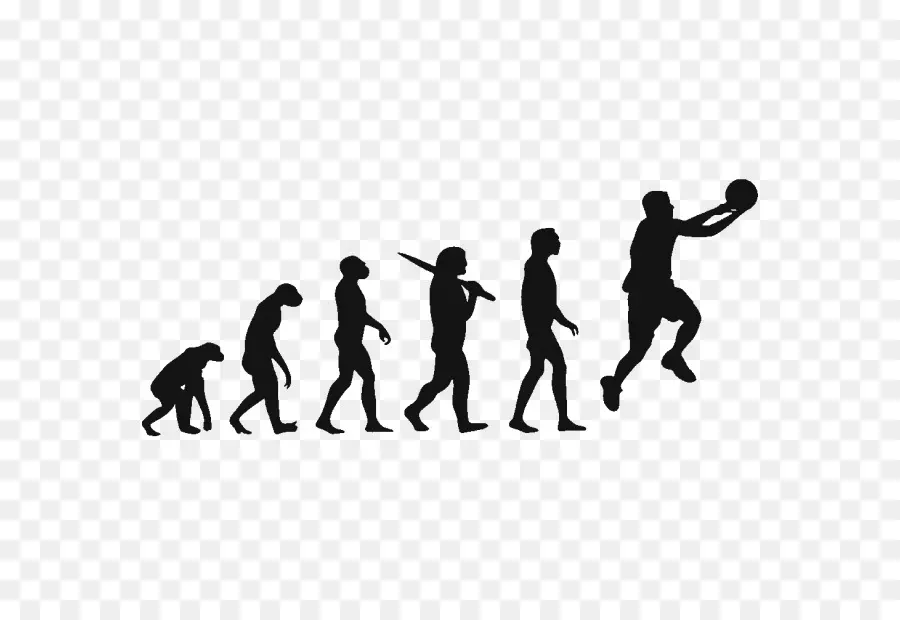 Camiseta，Evolución Humana PNG