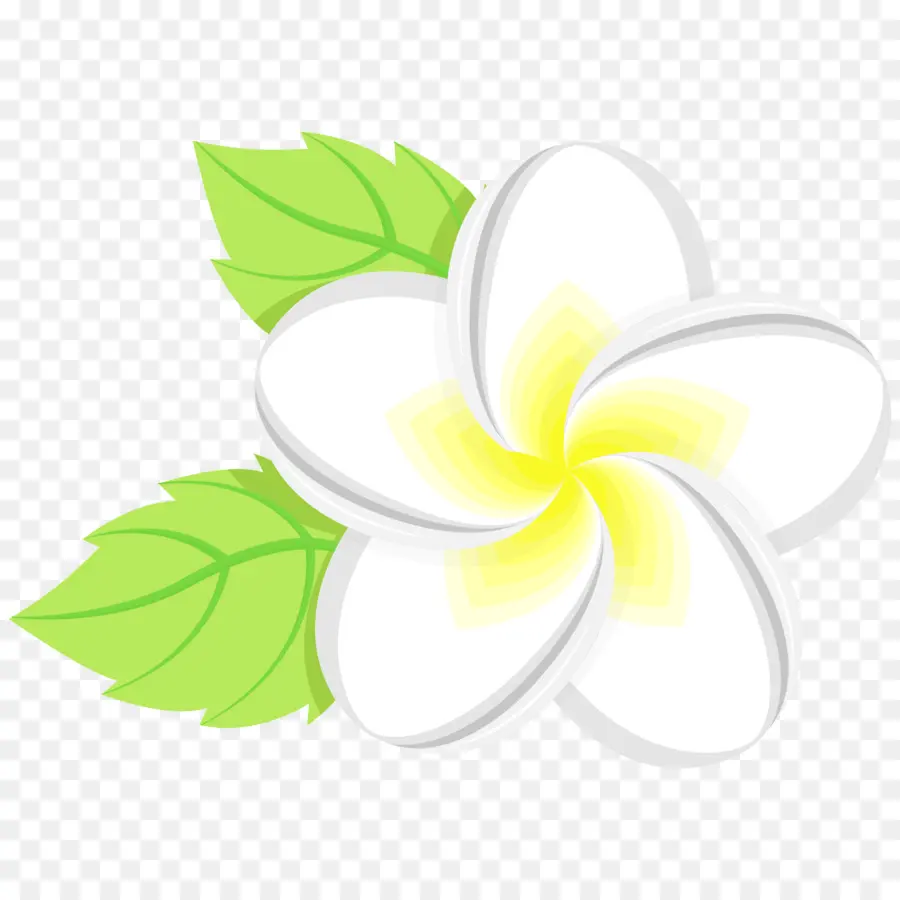 Flor Blanca，Hojas Verdes PNG