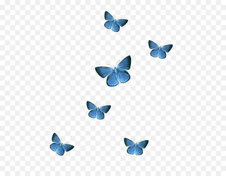 Mariposas Azules，Vuelo PNG