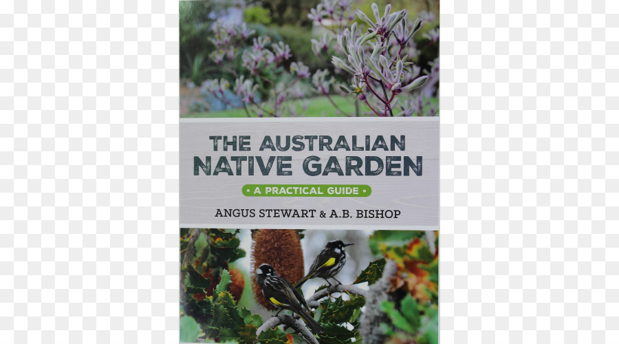 Originario De Australia En El Jardín De Una Guía Práctica，Australia PNG