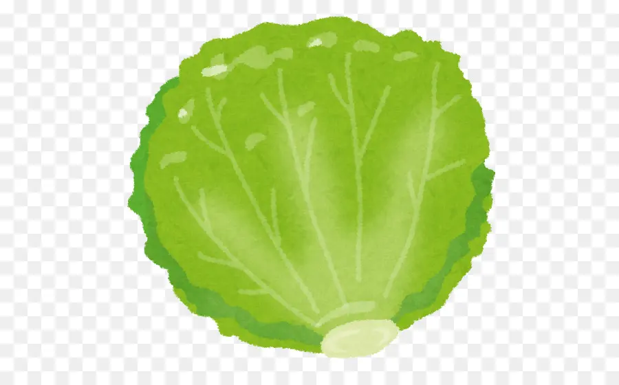 Hoja De Lechuga，Letra De Hoja Roja PNG