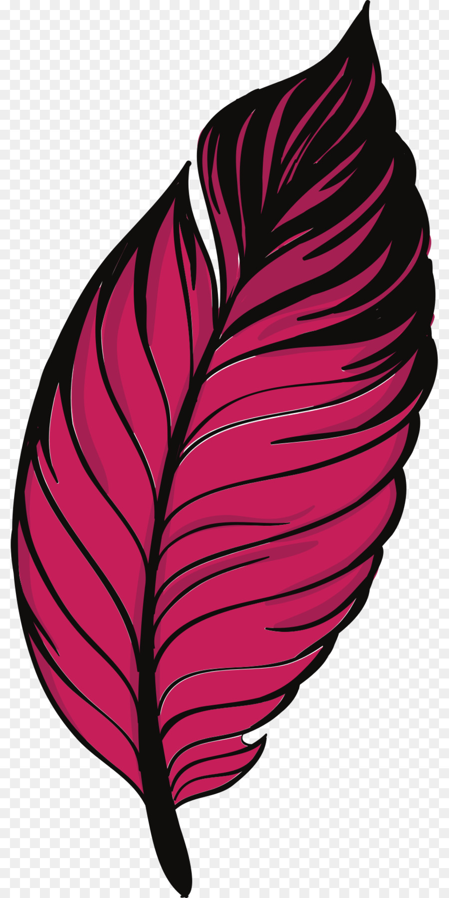 Pluma Rosa，Suave PNG