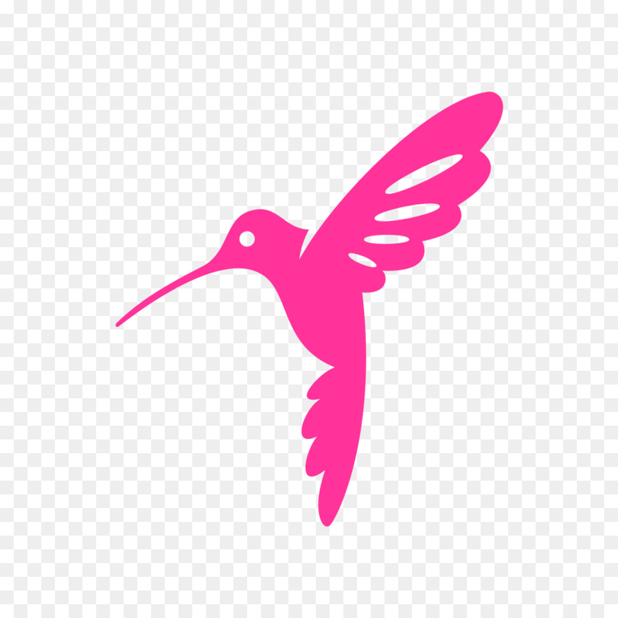 Colibrí，Vistoso PNG