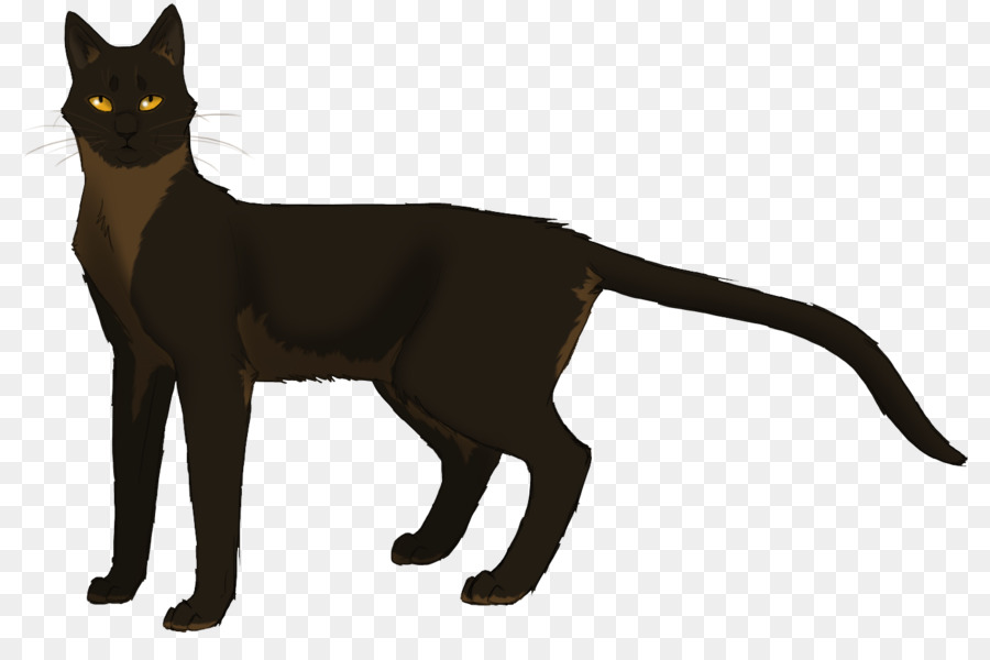 Gato，La Decoloración De Los Ecos PNG