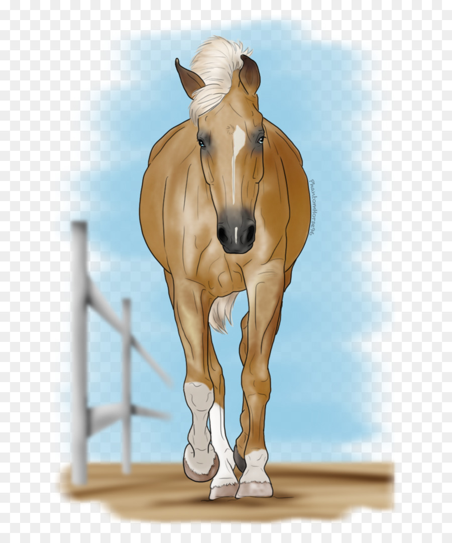 Caballo，Equino PNG